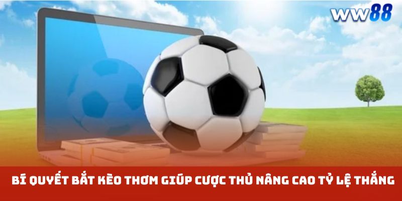Bí Quyết Bắt Kèo Thơm Giúp Cược Thủ Nâng Cao Tỷ Lệ Thắng 1 Bí Quyết Bắt Kèo Thơm Giúp Cược Thủ Nâng Cao Tỷ Lệ Thắng